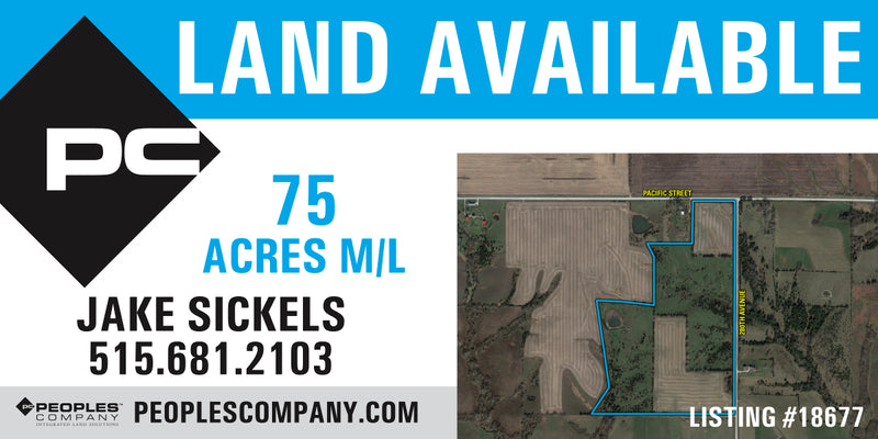 Preview of Custom PC One Agent 4x8